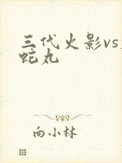 三代火影vs大蛇丸