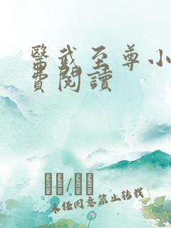 医武至尊小说免费阅读