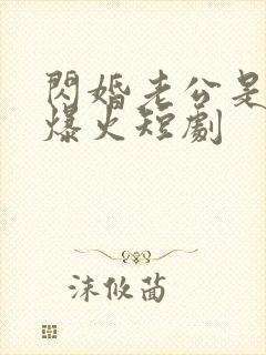 闪婚老公是总裁爆火短剧