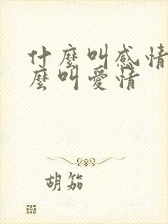 什么叫感情,什么叫爱情