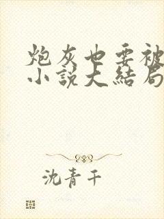 炮灰也要被浇灌小说大结局