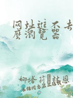 网址进不去用什么浏览器