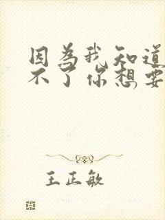 因为我知道我给不了你想要的东西歌词