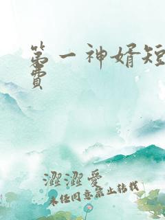 第一神婿短剧免费