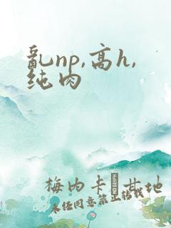 乱np,高h,纯肉