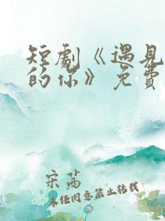 短剧《遇见正确的你》免费观看