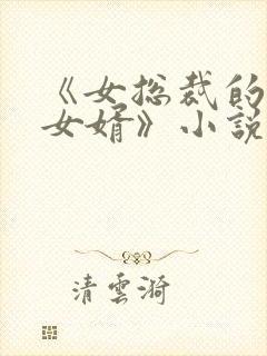 《女总裁的上门女婿》小说