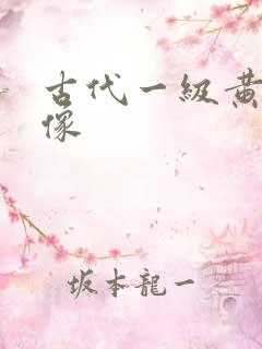 古代一级黄色录像
