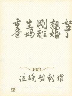 重生刚想努力,爸妈离婚了