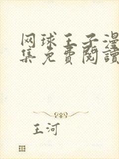 网球王子漫画全集免费阅读