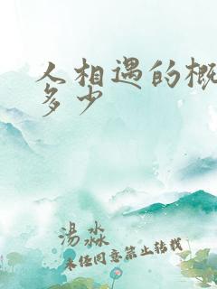 人相遇的概率是多少