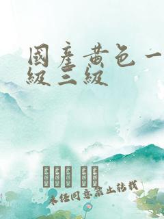 国产黄色一级二级三级