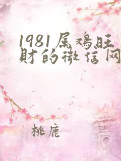 1981属鸡旺财的微信网名