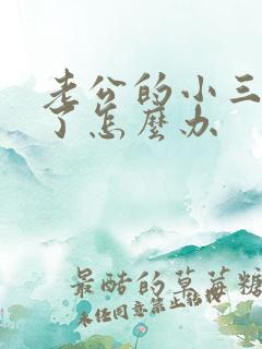 老公的小三怀孕了怎么办