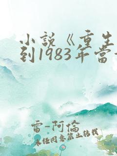 小说《重生:回到1983年当首富》