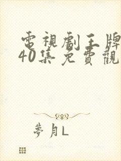 电视剧王牌部队40集免费观看