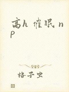 高h 催眠 np