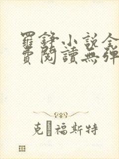 罗铮小说全文免费阅读无弹窗