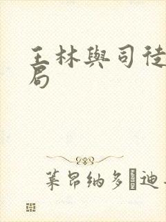 王林与司徒南结局