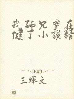 我师兄实在太稳健了小说精校版