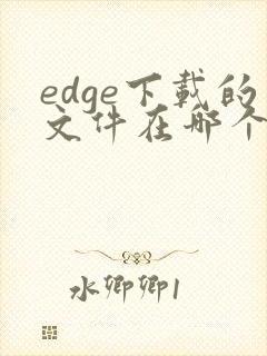 edge下载的文件在哪个文件夹手机