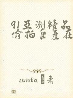 91亚洲精品国偷拍自产在线97