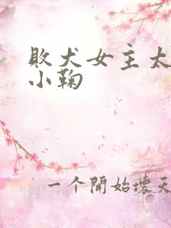 败犬女主太多了小鞠