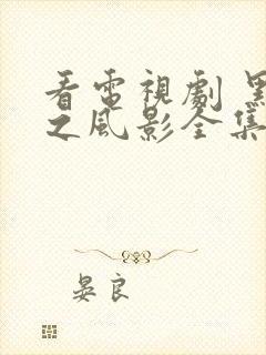 看电视剧 黑狐之风影全集