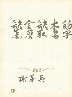 缺金缺木的男孩怎么取名字