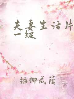 夫妻生活片黄色一级