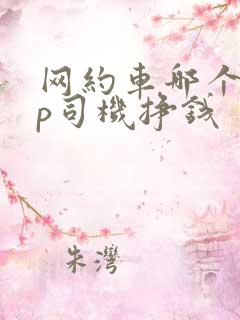 网约车哪个app司机挣钱