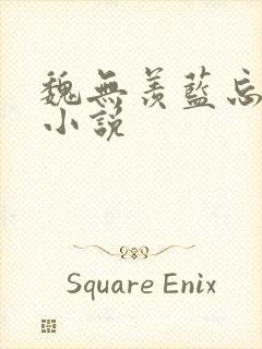 魏无羡蓝忘机的小说