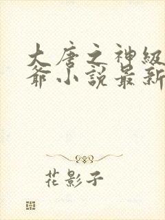 大唐之神级太子爷小说最新