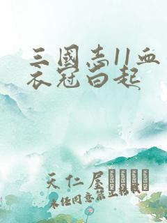 三国志11血色衣冠白起