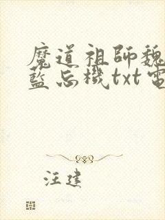 魔道祖师魏无羡蓝忘机txt电子版