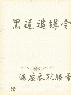 黑道追缉令电影