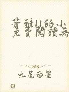 萧雅11的小说免费阅读无弹窗最新章节