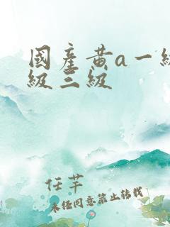 国产黄a一级二级三级