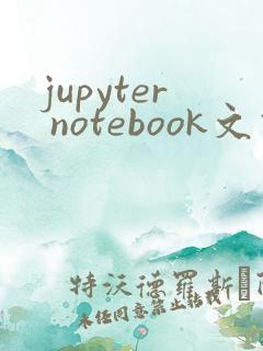 jupyter notebook文件后缀