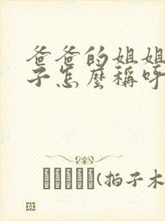 爸爸的姐姐的儿子怎么称呼