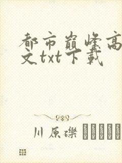 都市巅峰高手全文txt下载