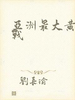 亚洲最大黄色网战