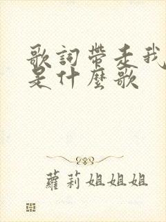 歌词带走我的心是什么歌