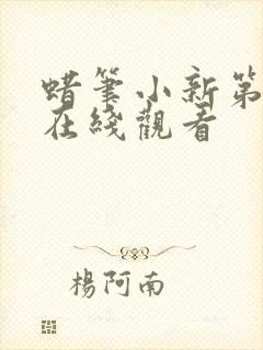 蜡笔小新第9季在线观看