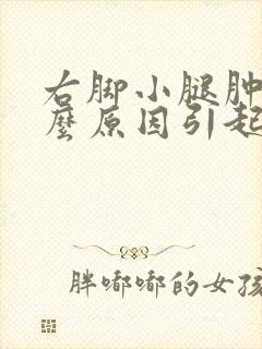 右脚小腿肿是什么原因引起的