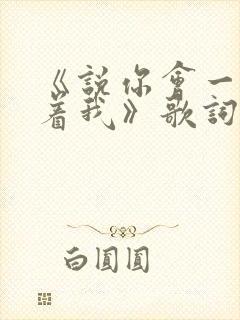 《说你会一直爱着我》歌词