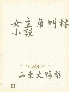 女主角叫林末的小说