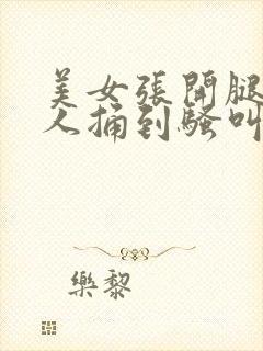 美女张开腿让男人捅到骚叫