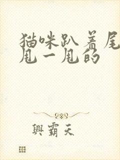 猫咪趴着尾巴一甩一甩的