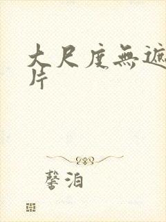 大尺度无遮挡毛片